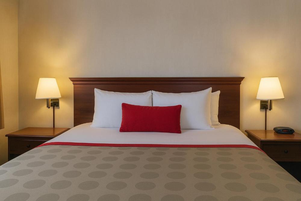 Deluxe Studio King Suite - Non-Smoking interior